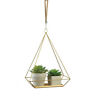 849179041755 Summerfield Terrace Golden Metal Rectangular Base Hanging Plant