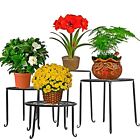 860311262922 8603112629224 4 Piece Plant Floor