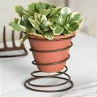 860753gr Undisclosed Two Bedspring Caddies With Terra Cotta Pots