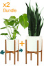 8719327021217 Fox Fern Modern Plant Stand Adjustable Width Up 690001824790