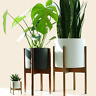 8719327021255 Fox Fern Modern Plant Stand Acacia Excluding White 689989533992
