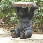 87875-f Gift Cute Plant Stand Sitting Bear Statue Black 738362050349