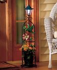 884916626765 Unbranded Solar Hummingbird Plant