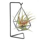 88757 Metal Air Plant Stand Holder Garden Decor Tillandsia Hanger Tabletop