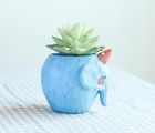 8889qf209w85 Cuteforyou Cute Animal Shaped 6916691003340
