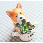 8889qf212w85 Cute Animal Shaped Cartoon 6916691003319