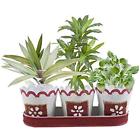 8907385956071 Storeindya Pots Set Of Metal Flower Stand Bucket