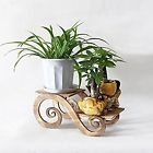8ouiim95d7 Raumeyun Tier Wooden Plant Flower Stand Shelf Wood 661083579656