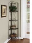 910035 Coaster Home Funishings Indoor Plant