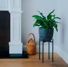 9369998004010 Thorne And Co Stylish Plant Stand High Indoor