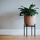 9369998109647 Stylish Plant Stand Medium Indoor Outdoor Flower Pot
