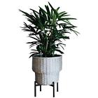 9369998209910 Thorne And Co Stylish Plant Stand Low Indoor