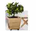 96559 Plant Caddy Plastec Stand On Wheels Bambo Wood Rolling Heavy Duty Platform Indoor Outdoor 702785796559