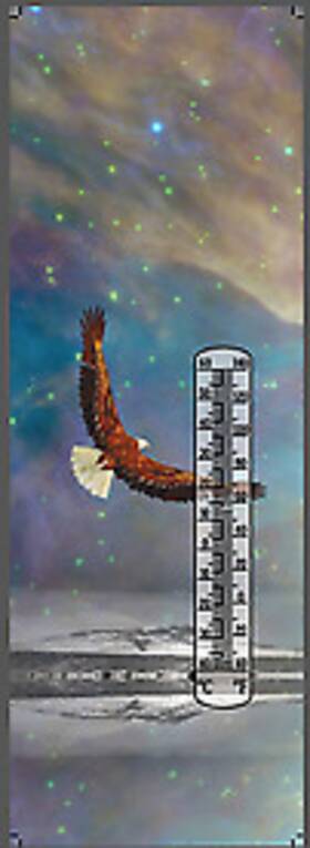 A&m Wholesale 821472624347 62434 - Thermometer Eagle