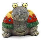 A00220 Cute Animal Shaped Creative Cartoon Home Decoration Succulent 713803147437