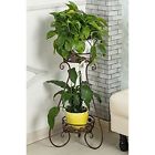 A52030 Aishn Metal Plant Stand 7101697952030