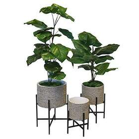 Admired By Nature 810008042700 Plant Stand Indoor Adjustable Metal With Modern Design For Large