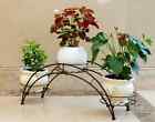 Aishn Plant Rack Elegant Arch Design Black Metal Stand Flower Pots Shelf U 702455007442