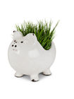 American Chateau White 10 Terracotta Standing Pig Piggy Plant Flower Pot Planter 063713273192
