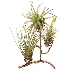 Angag18026 Ancient Graffiti Standing Metal Triple Air Planter 8 Inches