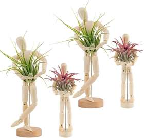 Anphsin 692760891686 4 Pcs Wooden Jointed Mannequin Air Plant Holder - Tabletop Stand In 2
