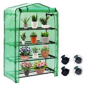 Asteroutdoor Mini Greenhouse For Indoor Outdoor Small Plant Greenhouses 4
