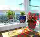 B-850009 Flower Stand Pot Holder Vintage Parisian Style Tricycle 3 Tier White Metal 746775363246