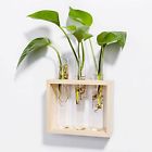 B01juep9fw Mkono Plant Stand Wall Hanging Planter Test Tube 820550698041
