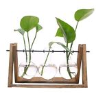 B071w6tprf Artinhome Plant Stand Wooden Glass Vase Holder Home Patio Indoor