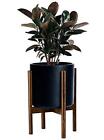 B07f9qxhfp Timeyard Mid Century Plant Stand Best Fits Foot Flower Pot