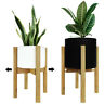 Bd3927343 Blue Donuts Indoor Plant Stand Adjustable In To 029483275699