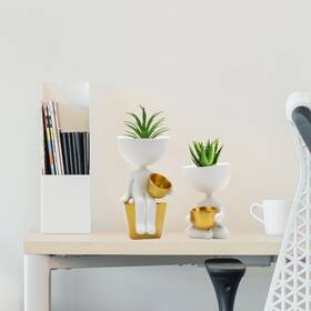 Bigtree 840252708138 Creative Succulent Plant Pot Planter Set Of 2