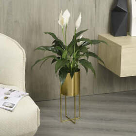 Deco3003bas Brushed Brass Metal Cylinder Planter Pot With Decorative Wire Display Riser Stand
