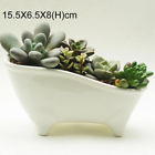 6.1x2.6x3.1in Bsjawe02 Artcraft White Ceramic Flower 9560469761801