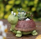 C-h049 Youfui Cute Turtle Cartoon 6917233906501