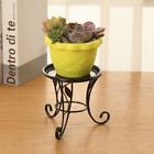 C5w6111751o2qxd5529 Unbranded Pro Metal Plant Stand Garden Decor Planter 889736543780