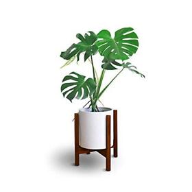 Casual Home Mid-century Modern Fit Up To 12inch Pot Not Included Wood Plant