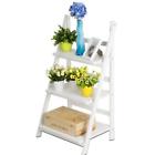 Cst26551 Silver Line Indoor-outdoor Pine