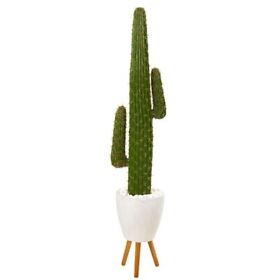 P1122 Dec Multicolor 5.5foot Cactus Artificial Plant In White Planter With Stand 5.5 Ft