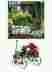 Dec490 Amish Wagon Decorative Garden Decor Planter Outdoor Kitchen Plant Stand Yard New