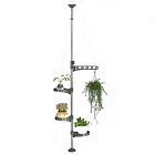 Dq1607-1p Baoyouni Flower Display Rack Tension Pole Plant Stand 6953925213410