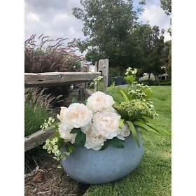 Durx-litecrete Lightweight Concrete Modern Low Bowl Cement 15.7footx15.7footx7
