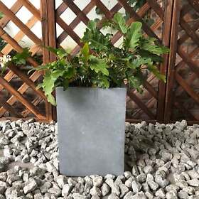 Durx-litecrete Lightweight Concrete Tall Planter Cement 13footx13footx18.5foot