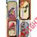 Egp549 Evergreen Enterprises Thermometer Assortment 12 Pieces With Cdu 4 Assorted Styles 746851689208