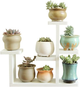 Exttlliy Wooden Mini Tabletop Plant Stand Multi-layer Concise Desktop Planter