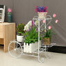 Ezn5636771 Tiers Metal Shelves Flower Pot Plant Stand Display 9798023767109