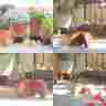 Ff1014 Flowerfeet Potted Plant Stands Pot Stools Tree