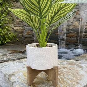 Flora Bunda 803284017333 5 Inch Wavy Ceramic Planter On Wood Stand White