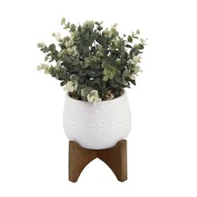 Cs3834e-wh Flora Bunda 5 In. Eucalyptus In Mayan Ceramic Pot On Wood Stand E-pac