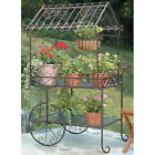 Flower-display-stand-8424 Flower Display Stand Plant 5414102858424